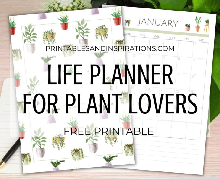 Printable Veg Planting Calendar 2025