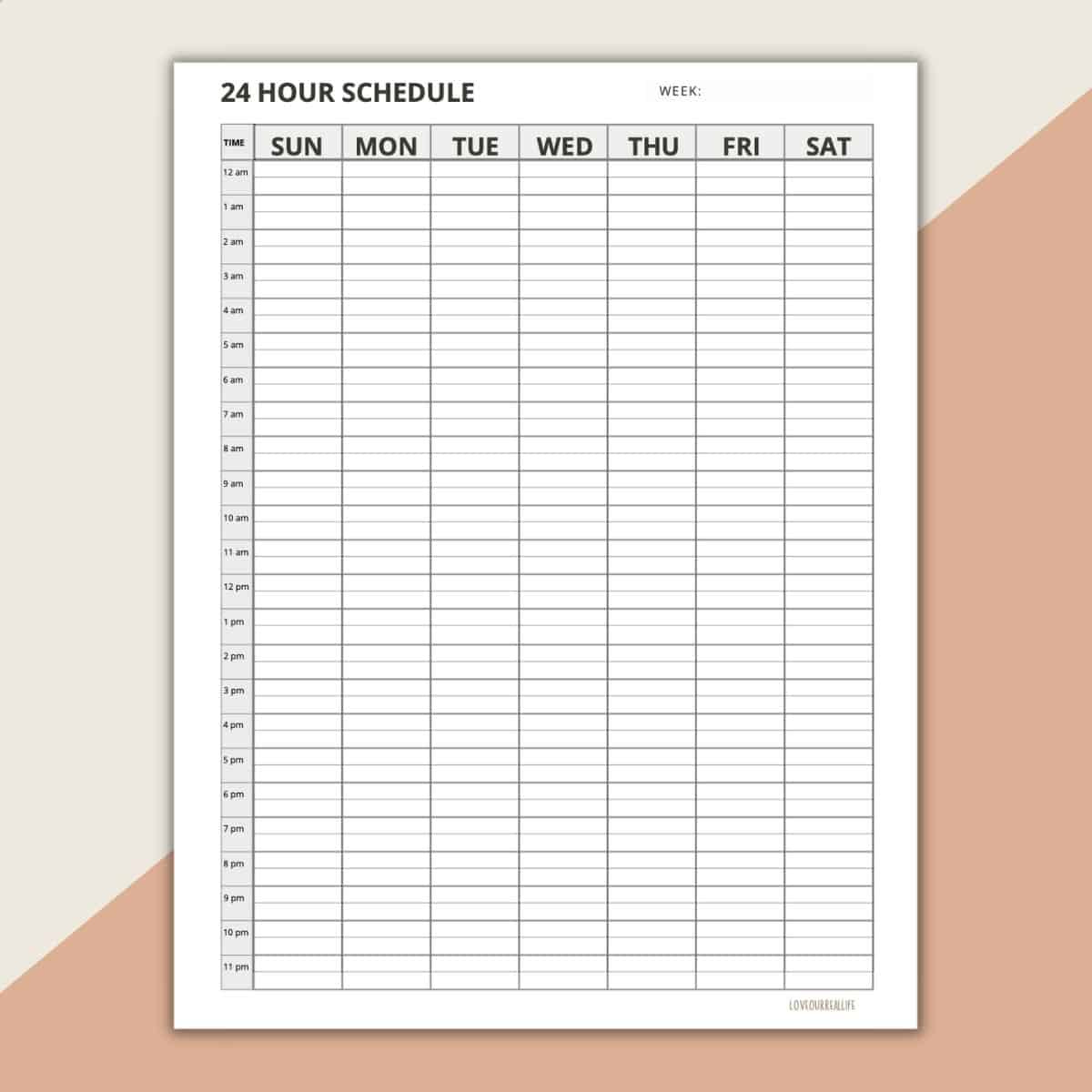 24 Hour Daily Schedule Template - 1 Page Layout (Printable pertaining to 24 Hour Daily Calendar Printable