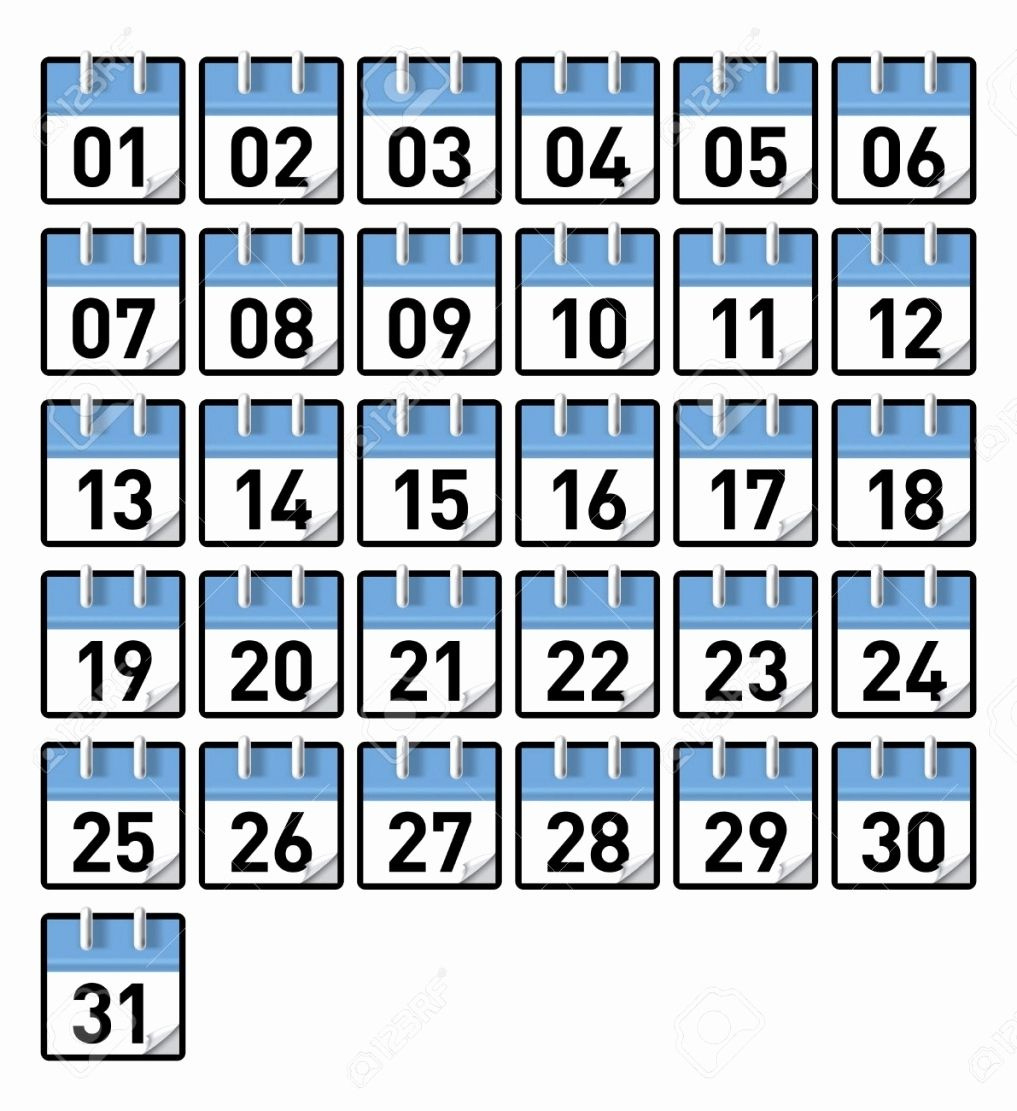 Free Printable Calendar Numbers 1 31 in Free Printable Calendar 2025 Numbers 1-31