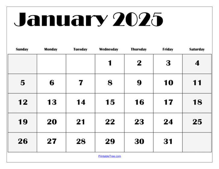 Free Printable January 2025 Calendar