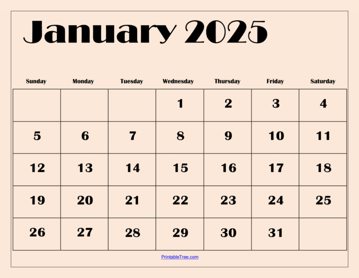 Printable Jan 2025 Calendar