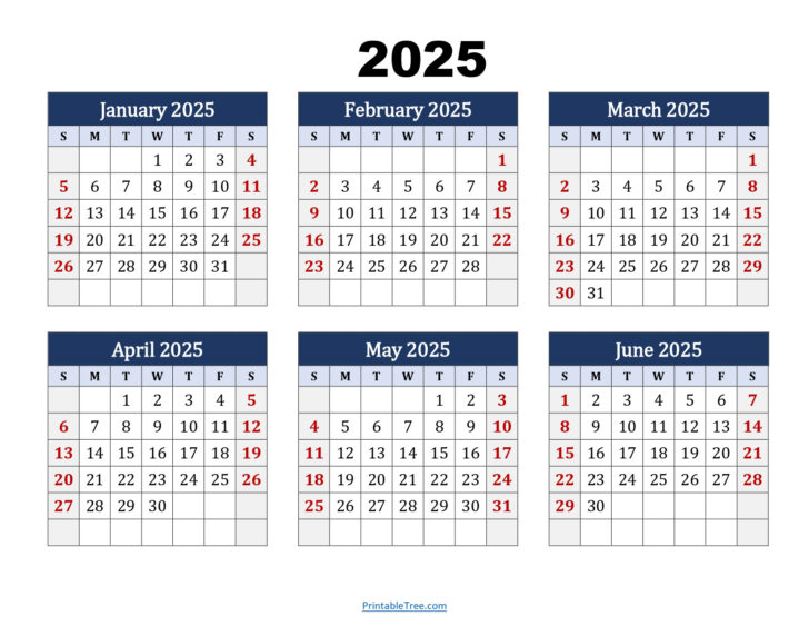 Printable 6 Month Calendar 2025